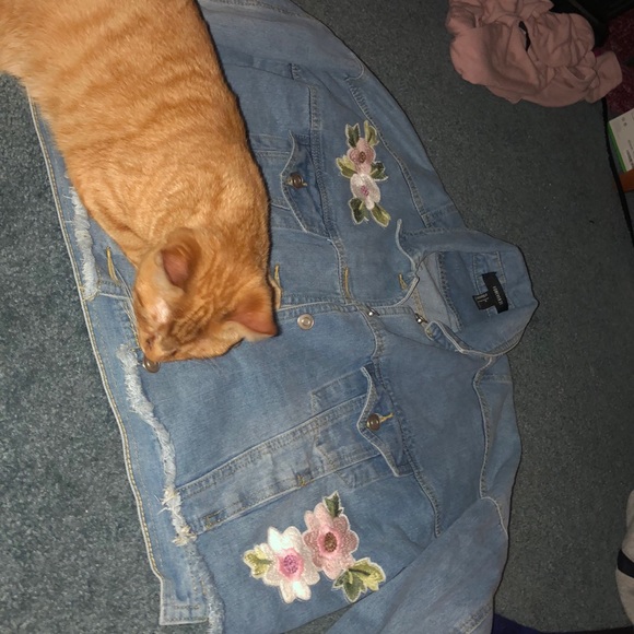 Embroidered Jean Jacket - Picture 2 of 2